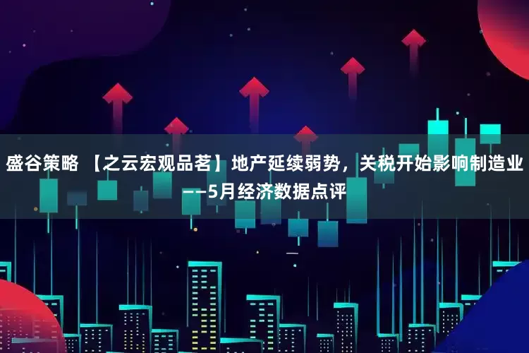 盛谷策略 【之云宏观品茗】地产延续弱势，关税开始影响制造业——5月经济数据点评