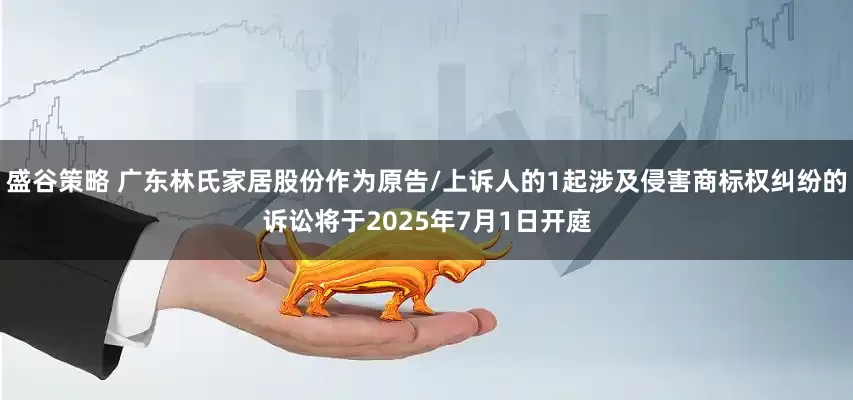 盛谷策略 广东林氏家居股份作为原告/上诉人的1起涉及侵害商标权纠纷的诉讼将于2025年7月1日开庭