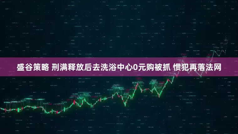 盛谷策略 刑满释放后去洗浴中心0元购被抓 惯犯再落法网